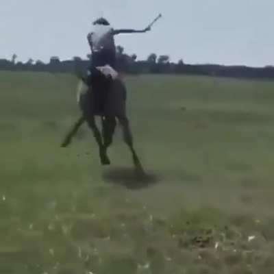 Gaucho power