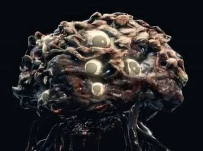 The mind of eyes