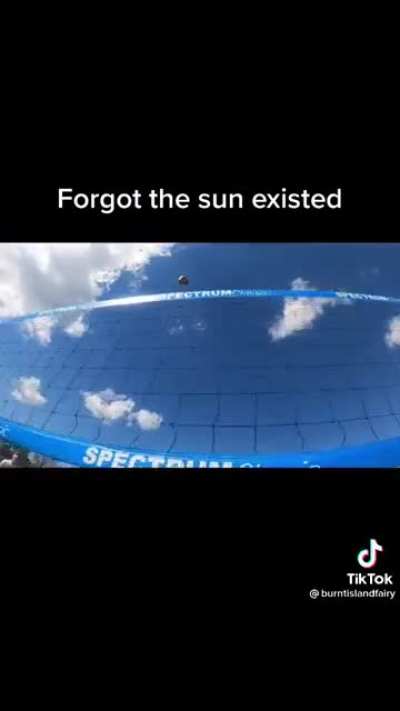 Best TikTok I've seen in a while