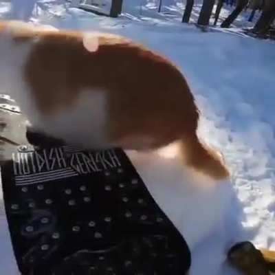 Подго<wbr>товка к зимней олимп<wbr>иаде