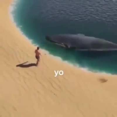 Yo