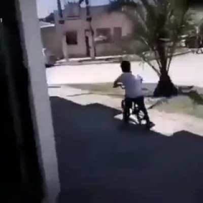 Bruno osoria, alias el cumbia ninja, oh