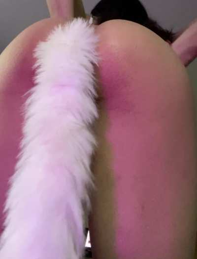 Pull my tail out , and push your dick in !!!