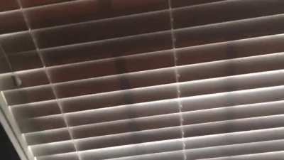 Only in winter can nature throw a flashbang at your window