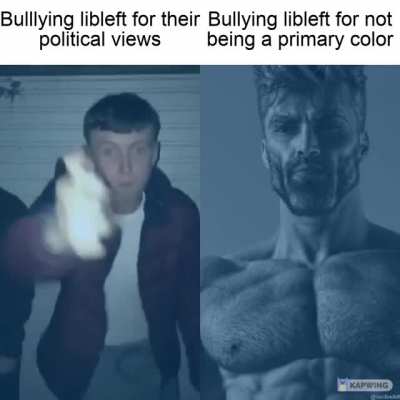 Authright bullying minorities