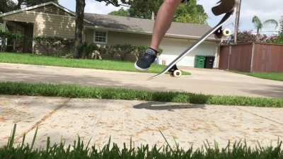 Ollie 