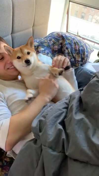 all bark, no bite
