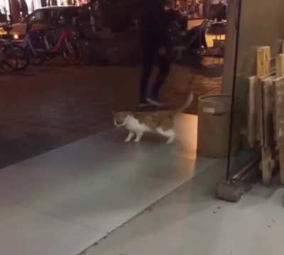 The lag is real