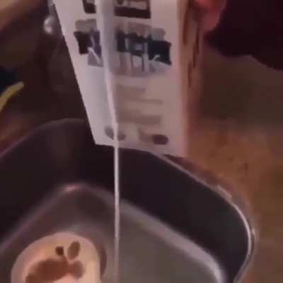 Creamy white substance found in the milk …