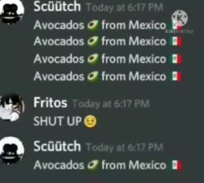 avocados🥑from 🇮🇹