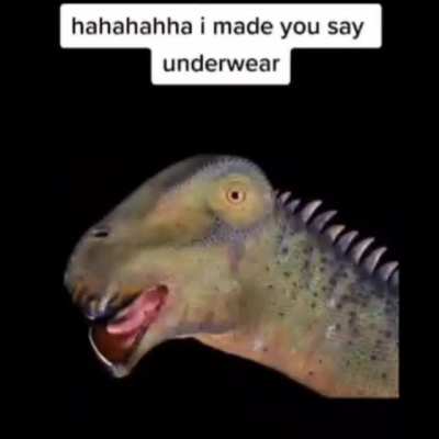 🐊