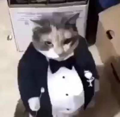 R/chomkers