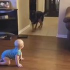 The luckiest kids are raised with a good dog like this one..