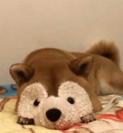Cute²