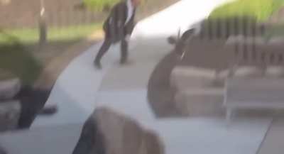 A Canada goose attacks man