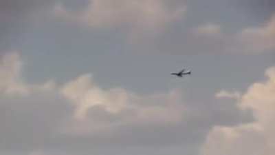 The plane crashed into a pasture
