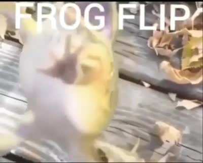 ranita flip