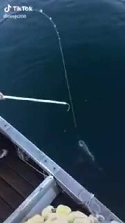 Big catch