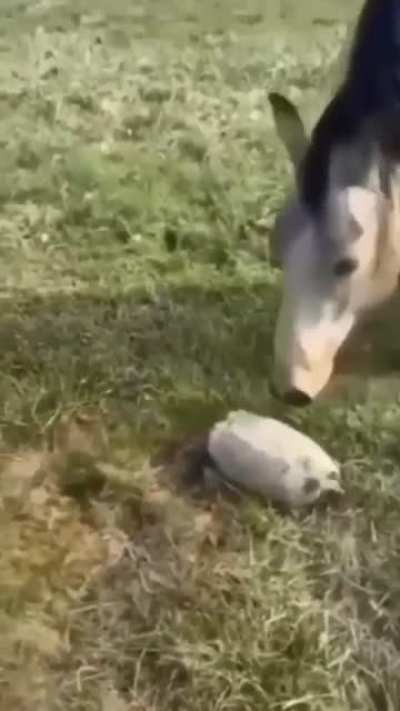 His soul left his body