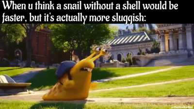 Slow & Steady