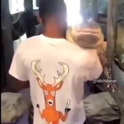 Blursed_Pets