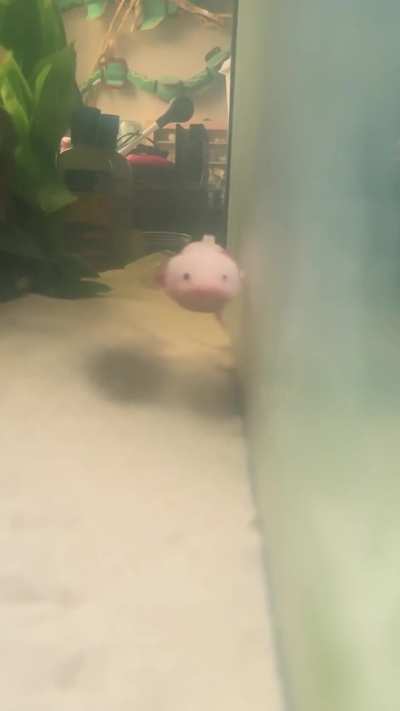 OH LAWD HE COMIN