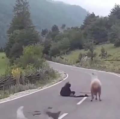 Bad Day At Work