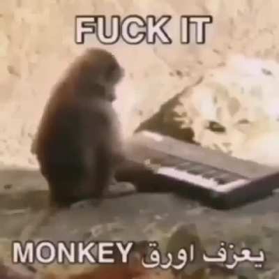 🎶🎶