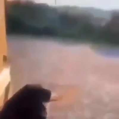 kkkkk