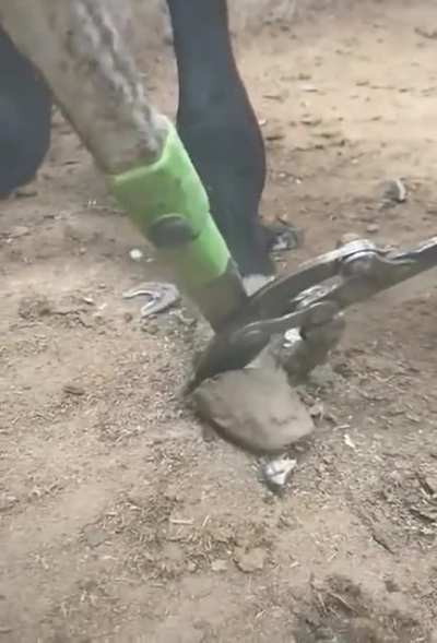 Стрижка ногтей