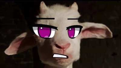 Dagoat