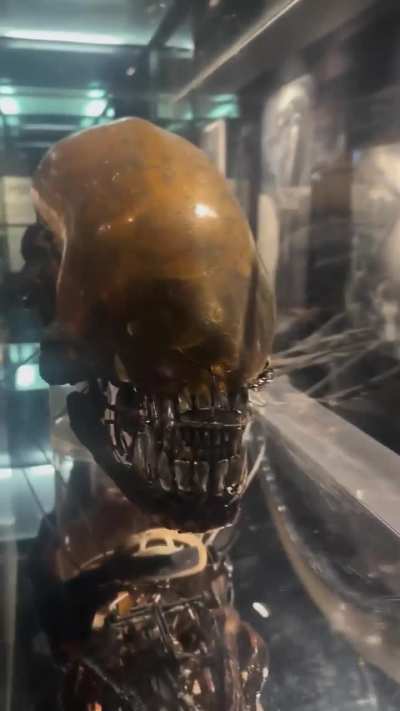I visited the HR Giger museum in Switzerland