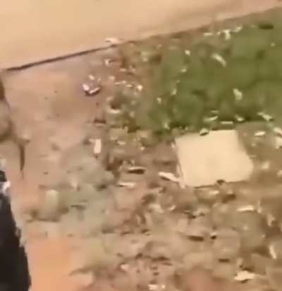 lol