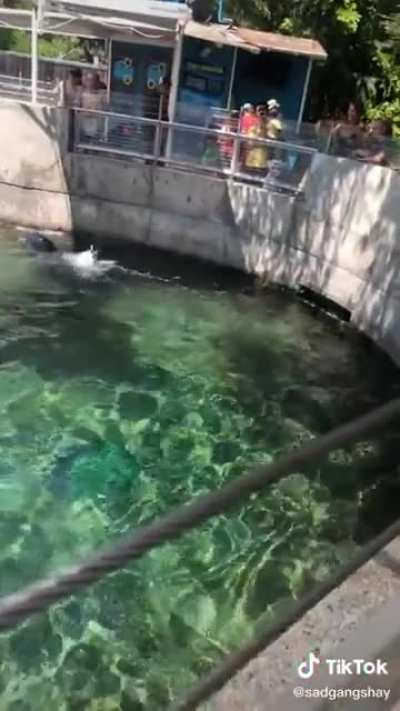 Does this count as a scream?