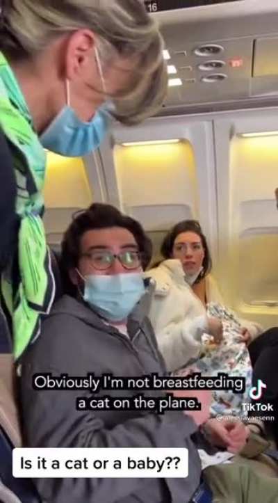 Breastfeeding a cat (part 1 of 4 - comments for links)