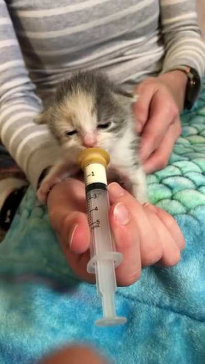 Baby having a little breakfast