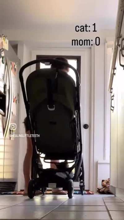 function ExitsTroller()