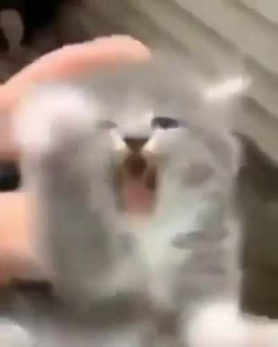 He was not happy