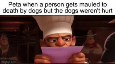 Don't hurt the dogs everything deserves the right to life!
