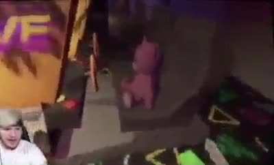 Gamer bear