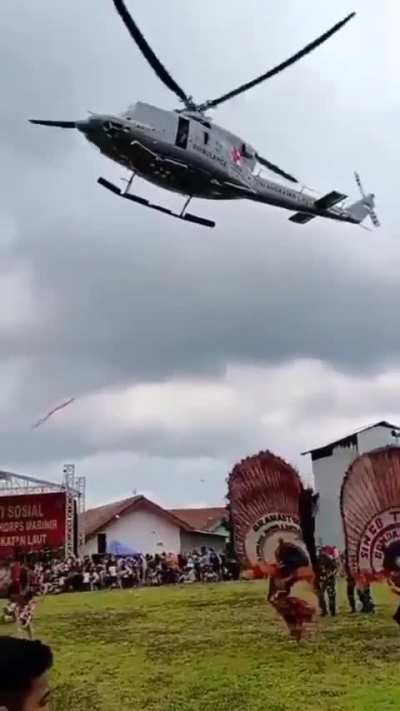 Peacocks do fly 🦚