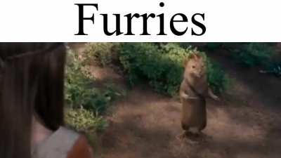 Furry_irl