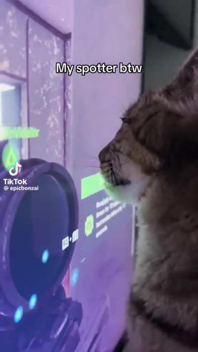 Wunky spotter