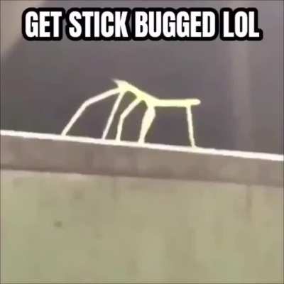me_irl