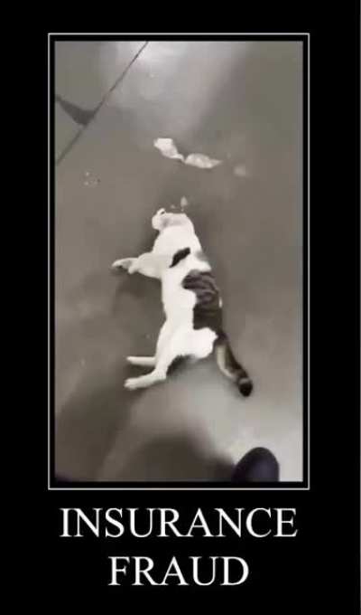 Maybe Maybe Maybe