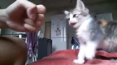 High five, bro 😎