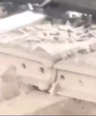 Can something be oddly terrifying, oddly satisfying and sweaty palms at the same time?
