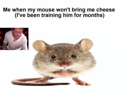 His name was Casper...