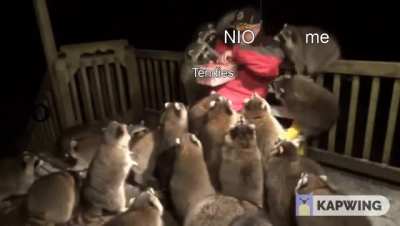 NIO today