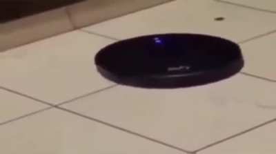 Noooo run awayyy